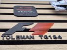 Toleman Hart TG184 F1 #19 (1984) - Ayrton Senna - s dekoračnou tabuľkou - dekoratívny predmet -  Edicola - 1:24